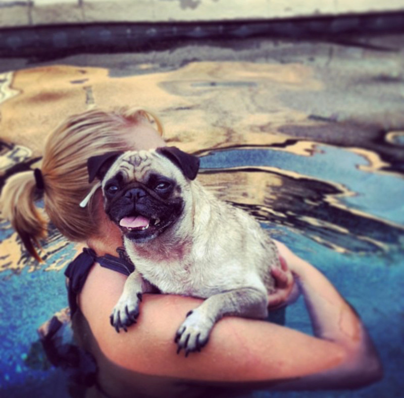 woman holding pug while standing in pool