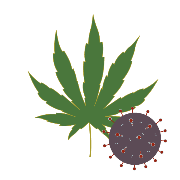 hemp leaf with COVID molecule